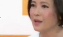 蓝洁瑛爆料录像视频,娱乐圈内幕大曝光