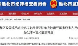 新闻视频爆料,新闻视频揭露惊人内幕