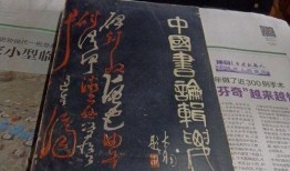 古董商挂件爆料视频大全,挂件爆料视频大全背后的珍稀藏品故事