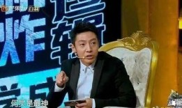 撒贝宁爆料飞机晚点视频,揭秘航班延误背后的故事