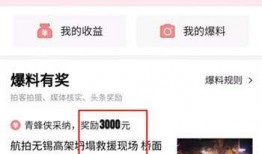 邢台今日头条的爆料,揭秘重大新闻事件背后的真相