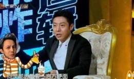 撒贝宁爆料飞机晚点视频,揭秘航班延误背后的故事