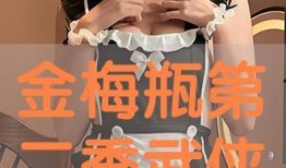 金梅瓶全集在线观看,穿越时空的传奇爱情