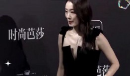 吃瓜娱乐资料,揭秘明星幕后故事与八卦传闻
