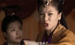芈月最新爆料视频播放,宫廷秘事再掀波澜