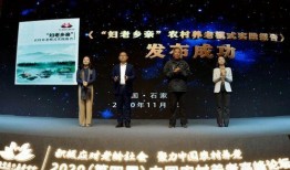 舞场爆料新闻报道怎么写,揭秘幕后真相，带你走进舞坛风云