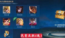 云缨新皮肤最新爆料多钱,售价揭晓引发热议！