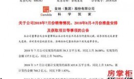华润最新爆料,揭秘行业巨头背后的秘密与挑战”