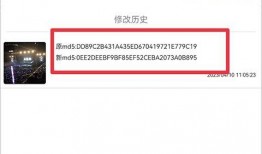 公关爆料视频大全下载安装,下载安装攻略全解析