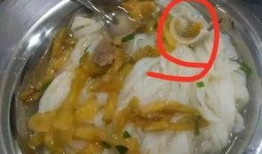 爆料学校饭菜视频,揭秘学生餐食背后的真相