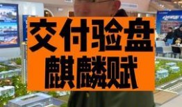 邢台今日头条的爆料,揭秘重大新闻事件背后的真相