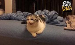 恶搞电梯爆料视频大全最新