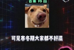 歌曲娱乐八卦吃瓜,揭秘“吃瓜群众”背后的狂欢世界