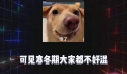 歌曲娱乐八卦吃瓜,揭秘“吃瓜群众”背后的狂欢世界