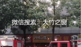 消防员爆料完整视频,揭秘火灾现场惊心动魄瞬间
