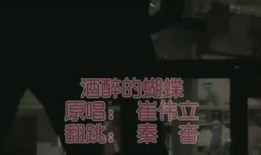 爆料酒醉的蝴蝶视频大全,爆料酒醉蝴蝶视频大全集锦