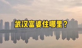 楼市爆料内容大全最新,最新动态大盘点，揭秘市场热点与趋势