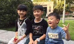 网友爆料保姆视频大全集,揭秘家政服务背后的真实故事