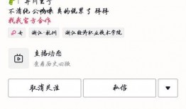 免费吃瓜网红群,揭秘网络红人的幕后生活