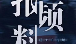 新闻视频爆料,新闻视频揭露惊人内幕