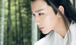 小天后爆料李宏毅视频,真相背后引人深思