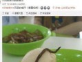 爆料学校饭菜视频,揭秘学生餐食背后的真相