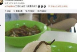 爆料学校饭菜视频,揭秘学生餐食背后的真相