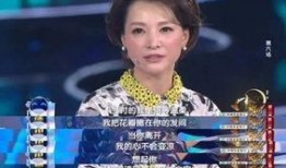 娱乐爆料董卿视频播放时间,揭秘幕后精彩瞬间，播放时长引发热议