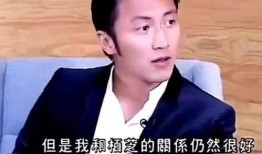向太爆料谢霆锋视频播放,向太揭露谢霆锋视频播放背后的真相