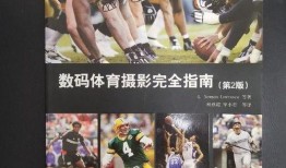 古董商挂件爆料视频大全,挂件爆料视频大全背后的珍稀藏品故事