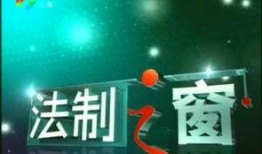 今日爆料三水新闻视频回放,今日爆料聚焦热点事件