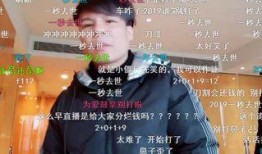 刀哥给陈泽爆料视频大全,陈泽爆料视频大全深度解析