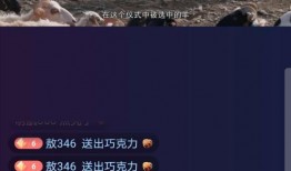 六哥爆料雪茄视频播放网站,雪茄视频网站大揭秘！