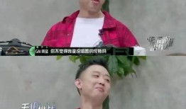 gai圈内爆料,揭秘娱乐圈不为人知的幕后故事