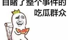 吃瓜群众纯属娱乐行为,娱乐至上的狂欢盛宴