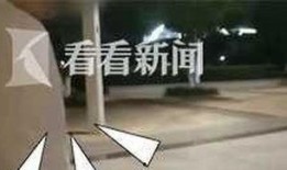 遛狗不拴绳爆料视频大全,文明养犬，共建和谐社区