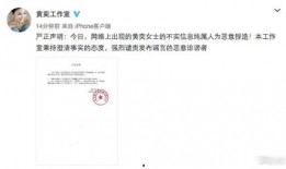 黄毅清爆料生孩子视频,揭秘娱乐圈背后的惊人真相