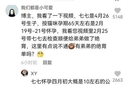 娱乐吃瓜君和七七谁赢,七七与娱乐吃瓜君巅峰对决，谁将笑到最后？