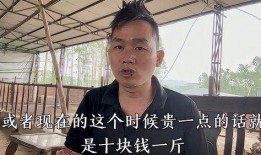 大哥老瓜皮爆料视频